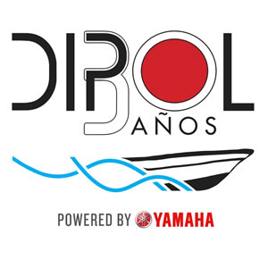 logo-dipol